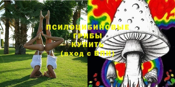 дживик Аркадак
